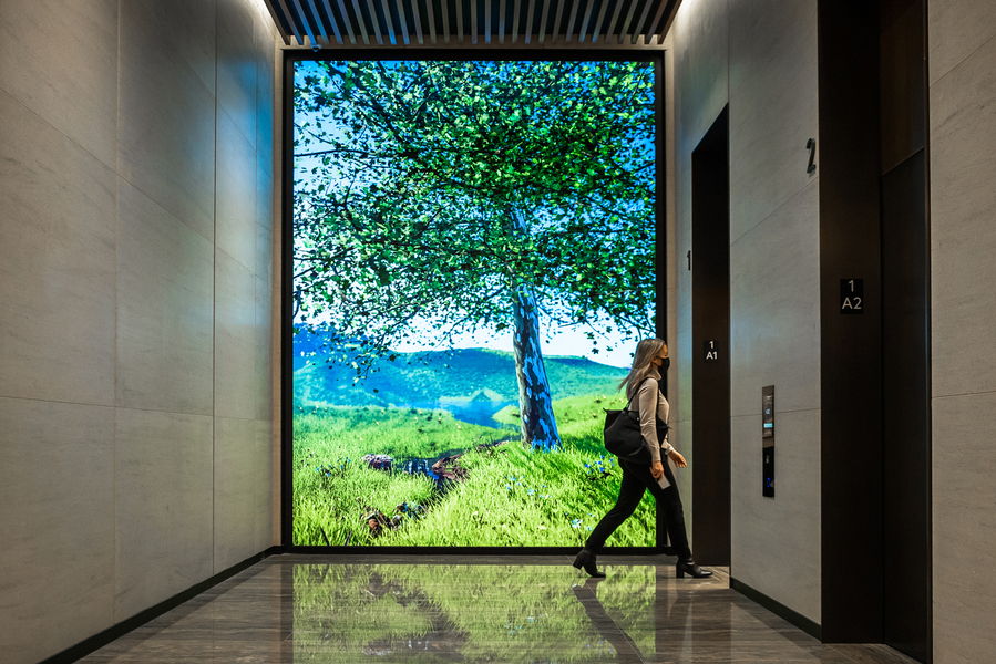 photo wall showcasing an outdoor image of a tree n