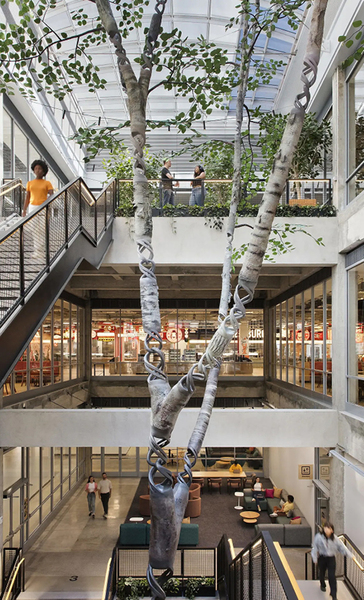 tree in center of main staircase